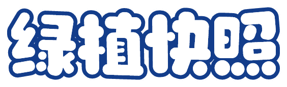 绿植快照